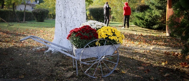 Триває підготовка до свята з нагоди 100-річчя заснування навчального закладу